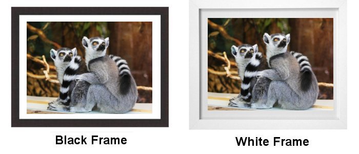 Select Your Frame Select Your Frame